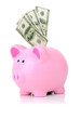 stuff piggy with 100 bills
