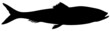 fisch