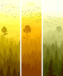 Vertical banners of hills coniferous wood.