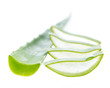 Aloe vera - Blätter und Trieb auf weißem Hintergrund