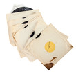 Old vinyl records in paper covers