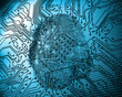 Illustration of blue fingerprint