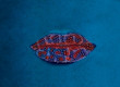 Mouth made of berries