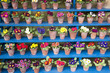 Rows of Primula in Flower Pots