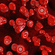 Blood cells - 3D Render