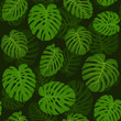 Pattern leafs green