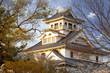 Nagahama, Japan Museum of History