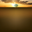 Nature Background With Sunrise...