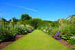 Beautiful Summer Garden