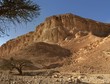 Photo: Acacia trees at the bottom of the desert hill at sunset Acacia trees at the bottom of the desert hill at sunset