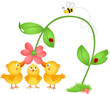 Vector: Little chicks admiring a flower Little chicks admiring a flower