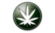 Marijuana