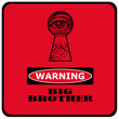 big brother