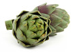two artichoke over white