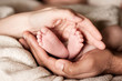 Petits pieds de bébé