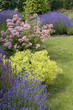 Beautiful garden in spring.