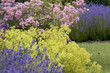 Beautiful garden in spring.