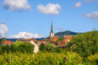 Foto: Village with vineyards Village with vineyards