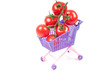 Conceptual photo with miniature shopping-cart