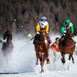 sfida equestre