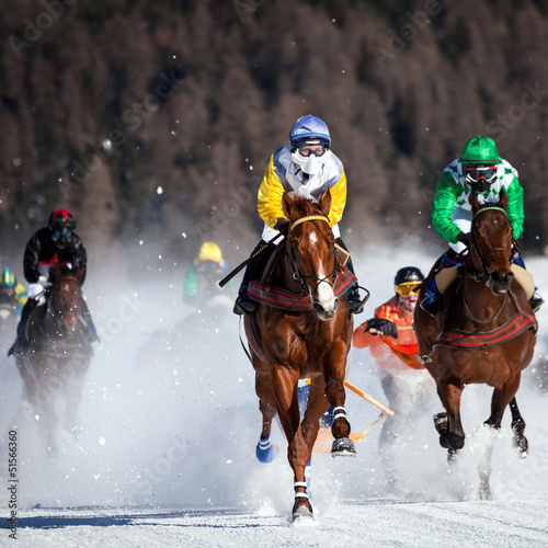 Photo: sfida equestre sfida equestre