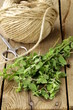 fresh organic oregano (marjoram) on a wooden board