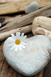 Photo: Blüte und Herz Blüte und Herz