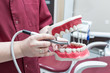 Dentist holding plastic jaw