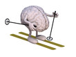 human brain with arms and legs, ski and stick