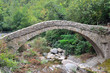 Roman bridge " Colletta di Castelbianco", Italy