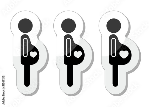 Vector: Pregnant woman - stages of bump icons set Pregnant woman - stages of bump icons set