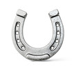 horseshoe