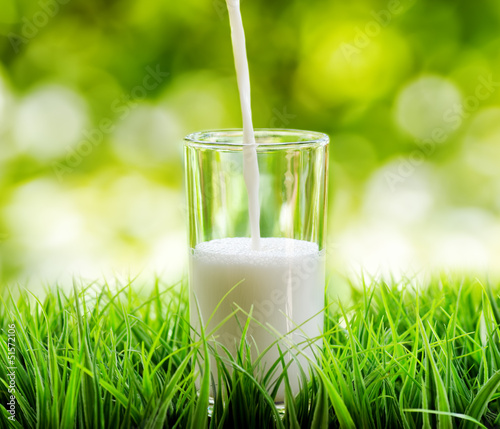 Photo: Glass of milk on nature background Glass of milk on nature background