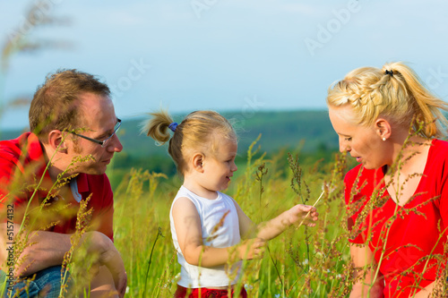 Photo: Kid in the meadow blowing dandelion seed Kid in the meadow blowing dandelion seed