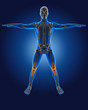 3D medical man with skeleton