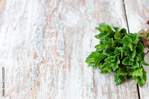 Photo: .Fresh mint .Fresh mint