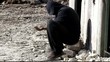 Passer to give money to homeless