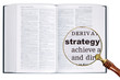 Strategy through a magnifying glass over Dictionary.