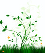 Vektor: Floral background Floral background