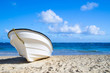 tropical beach