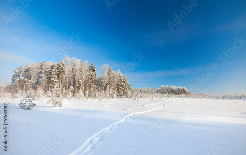 Photo: Winter park in snow Winter park in snow