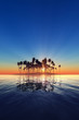 Silhouette of tropical island at sunset