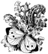 Large White Cabbage Butterfly on the leaf