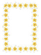 White frangipani flowers frame