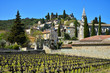 les vignes de la Roque sur Cèze