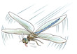 The sweaty dragonfly has got tired of long flight