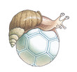 Snail on the ball