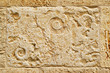 Textura fósiles