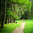 forest park road view