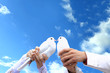 Pigeons to the wedding.